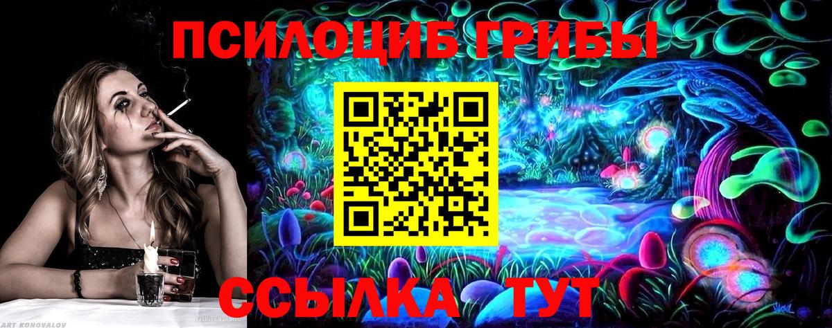 Псилоцибиновые грибы Psilocybine cubensis  Вход с VPN  Галлюциногенные грибы мицелий  Железногорск 
