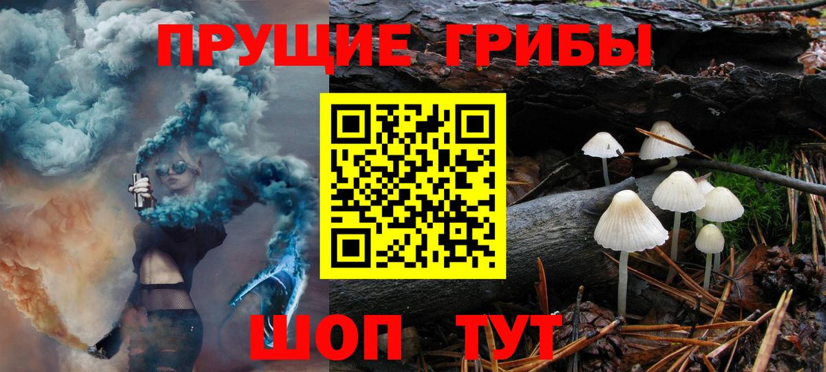 Псилоцибиновые грибы MAGIC MUSHROOMS Железногорск