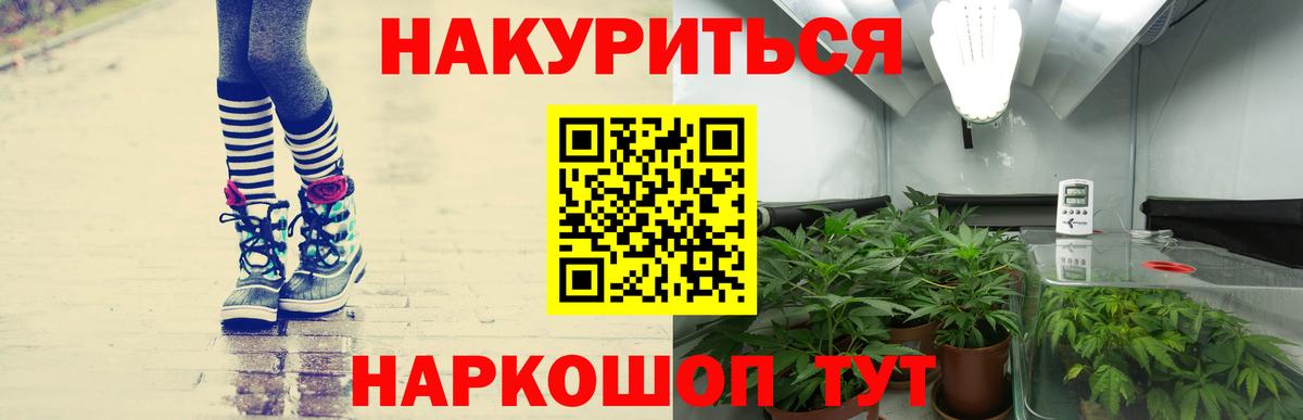 Шишки марихуана марихуана Железногорск